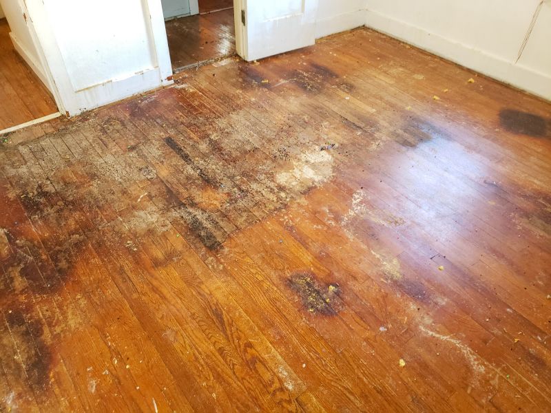 Damaged Floorboards